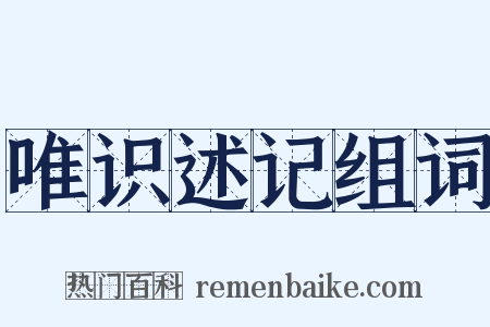 唯识述记组词是什么意思的图片